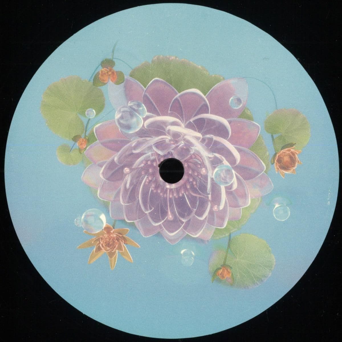 Enoki EP