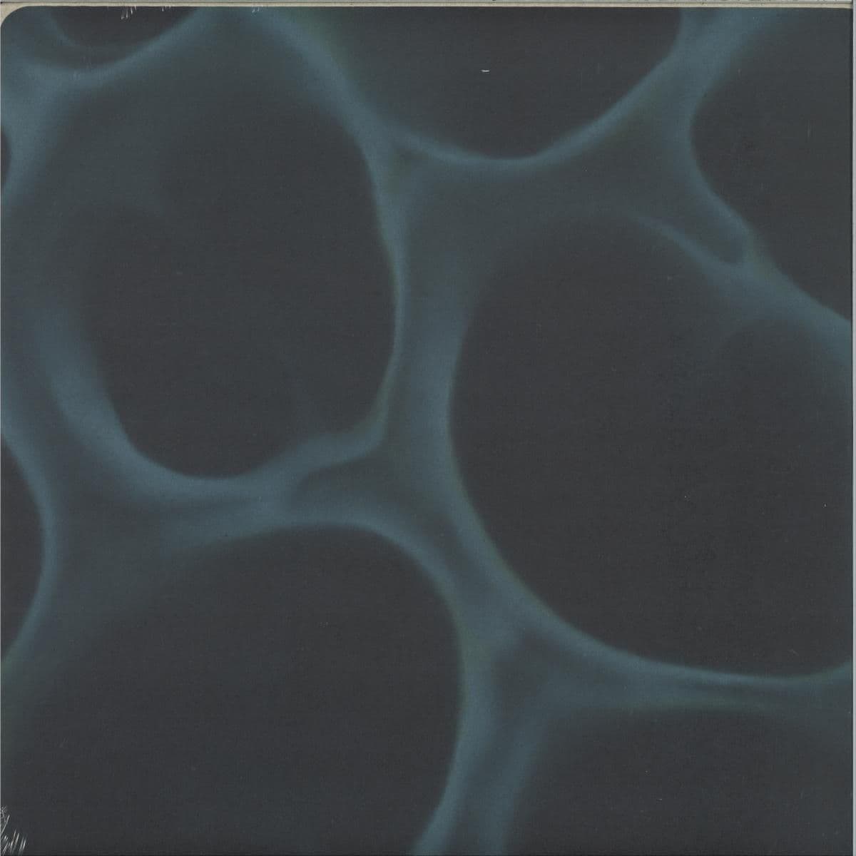 Radiolaria