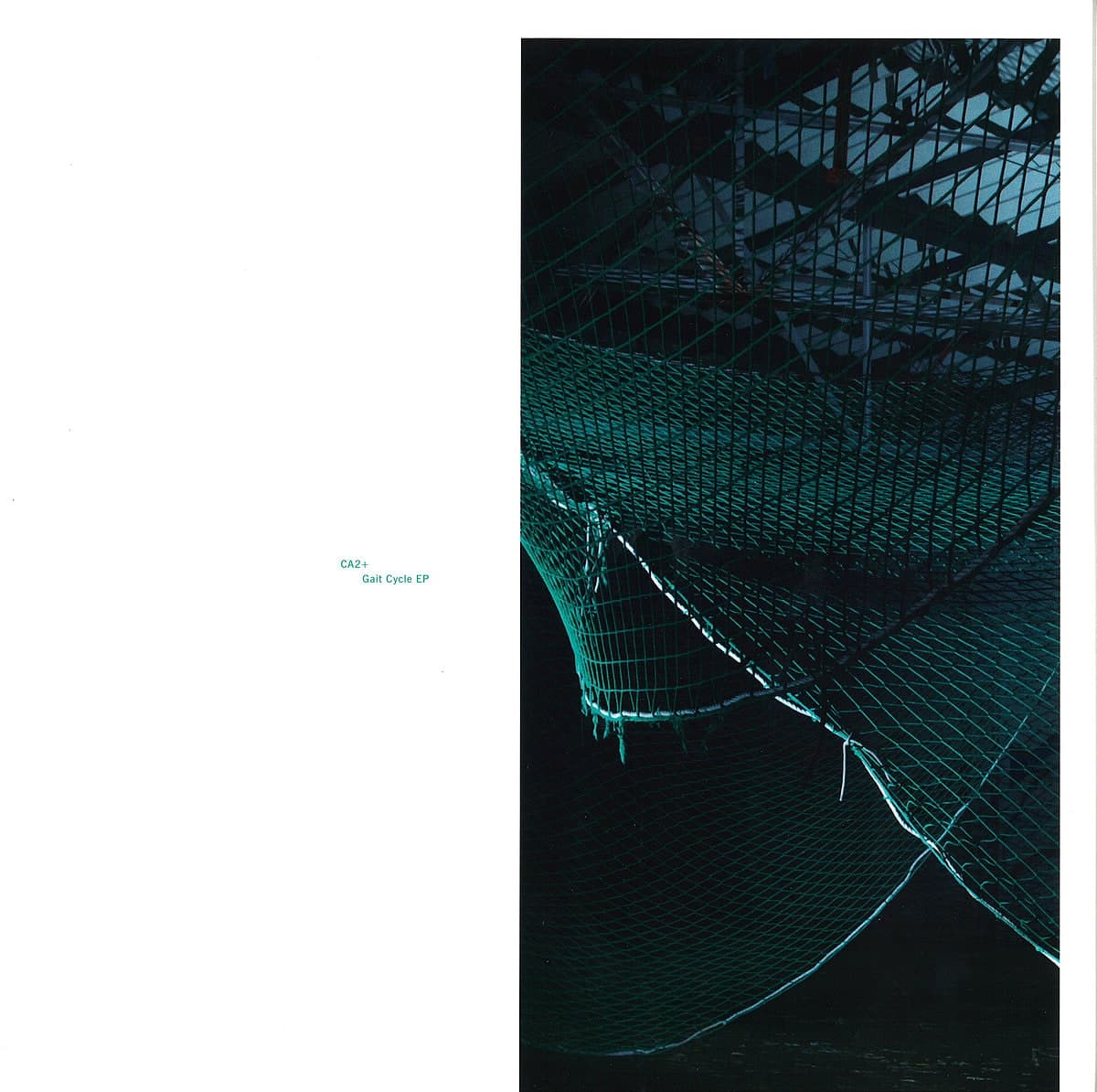 Gait Cycle Ep