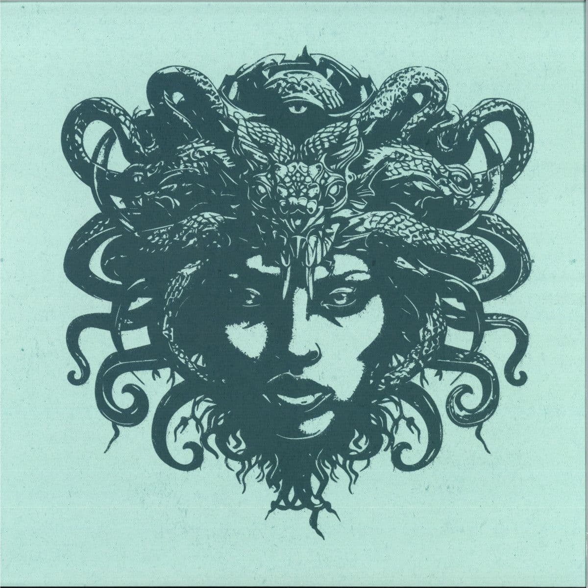 The Medusa Hunter