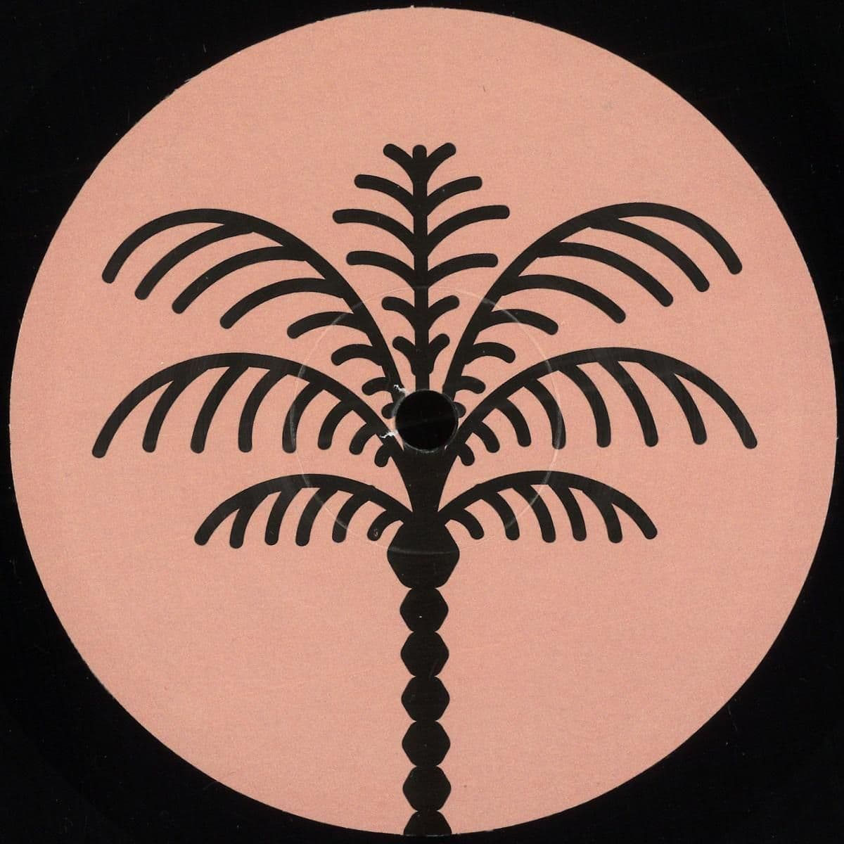 Unreleased Data EP