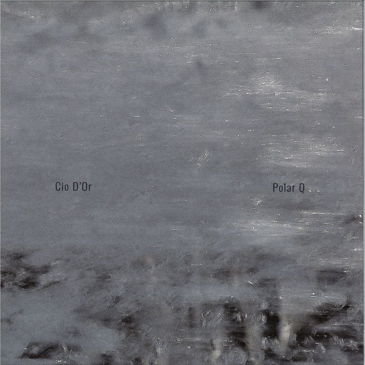 POLAR Q LP