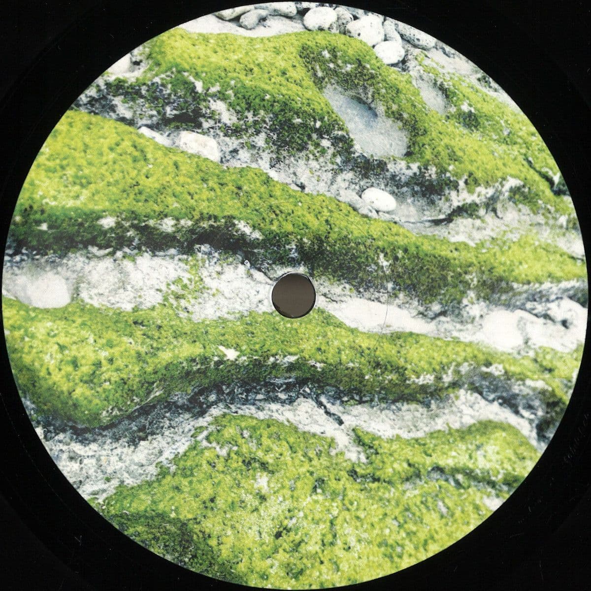 Kihon Ido EP
