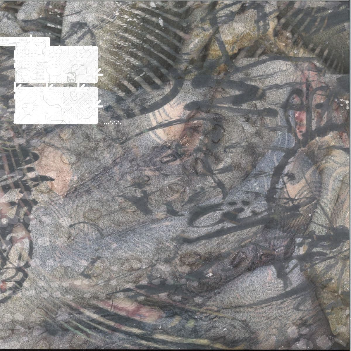 Skudd LP