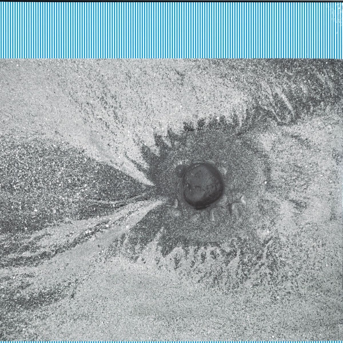 New Energy LP 2x12"