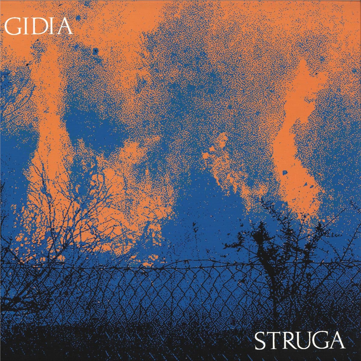 STRUGA LP 2x12"