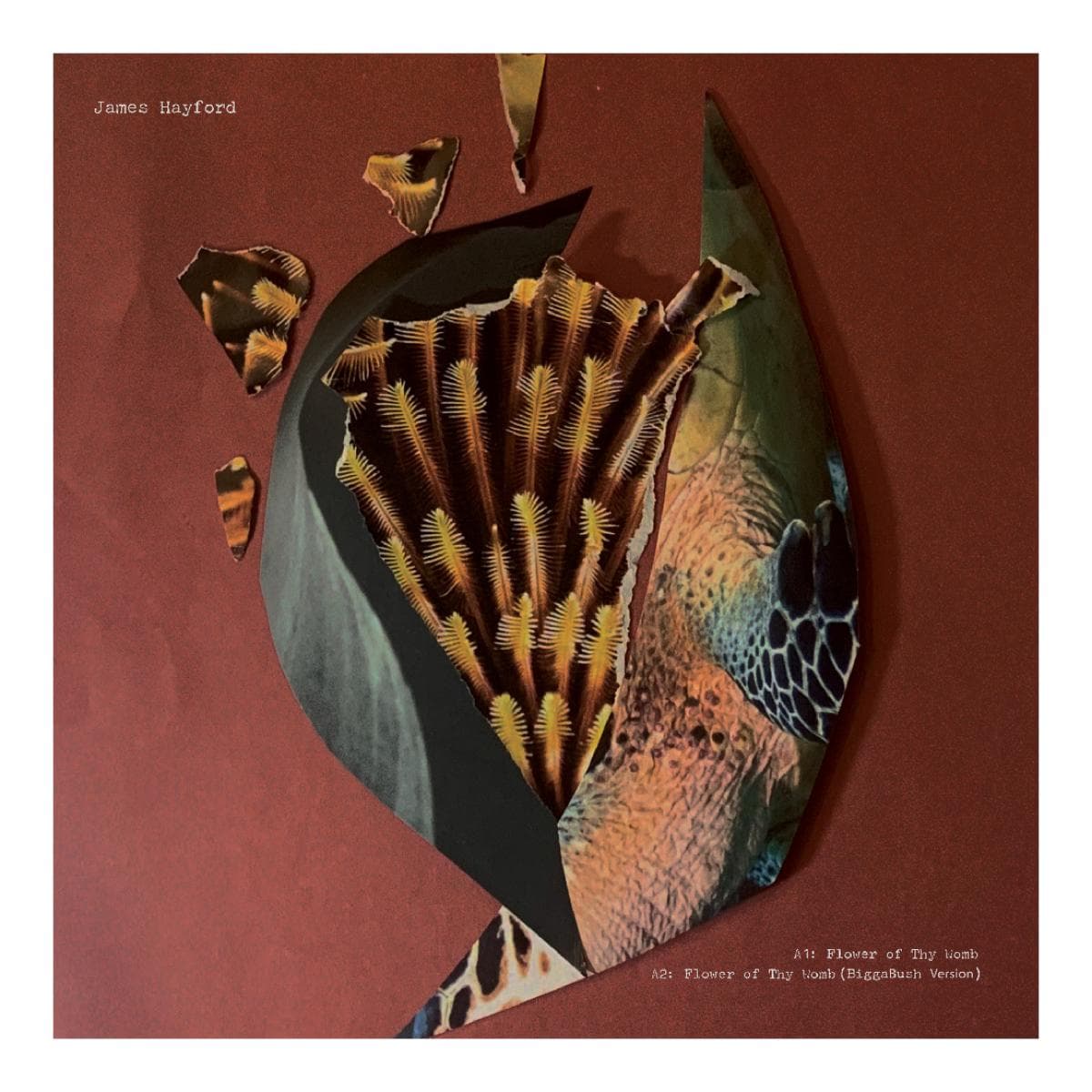 Split EP