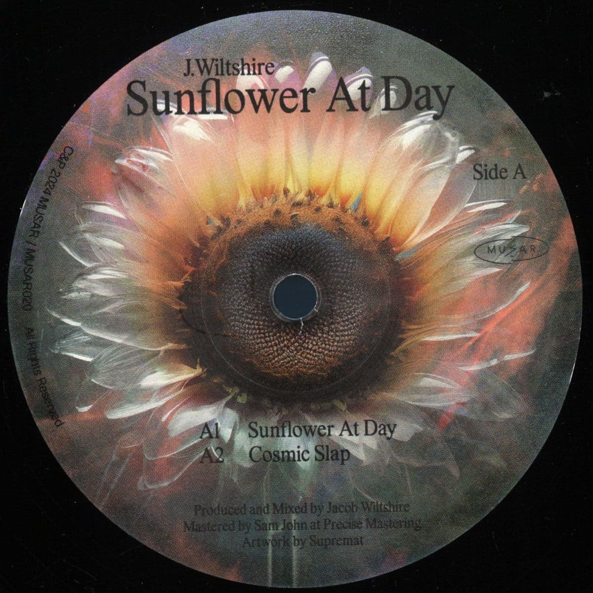 Sunflower At Day