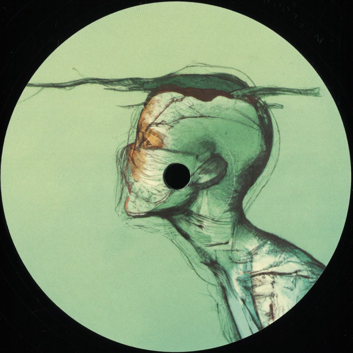Continental EP