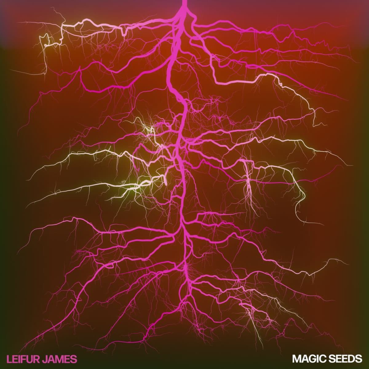 MAGIC SEEDS LP