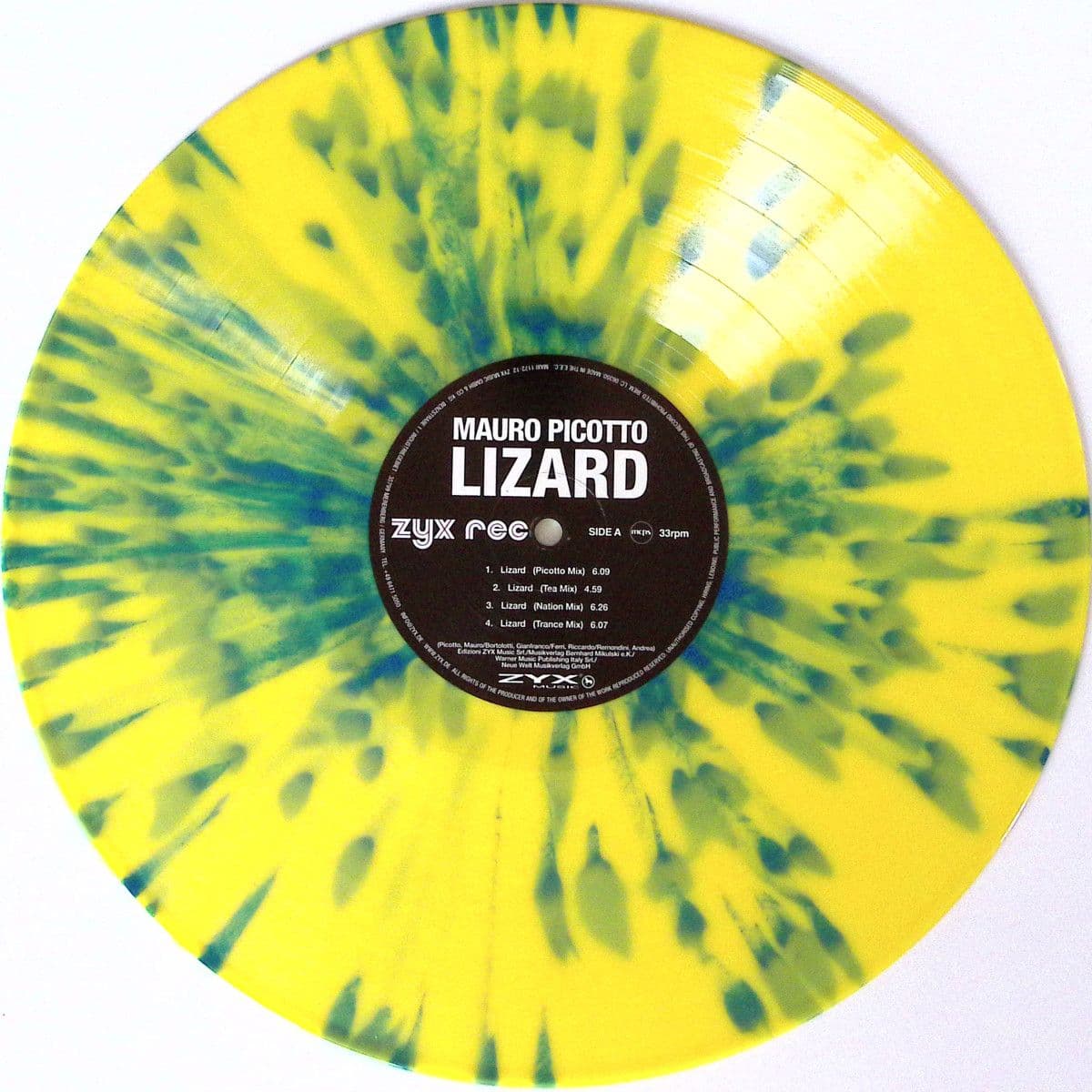 Lizard