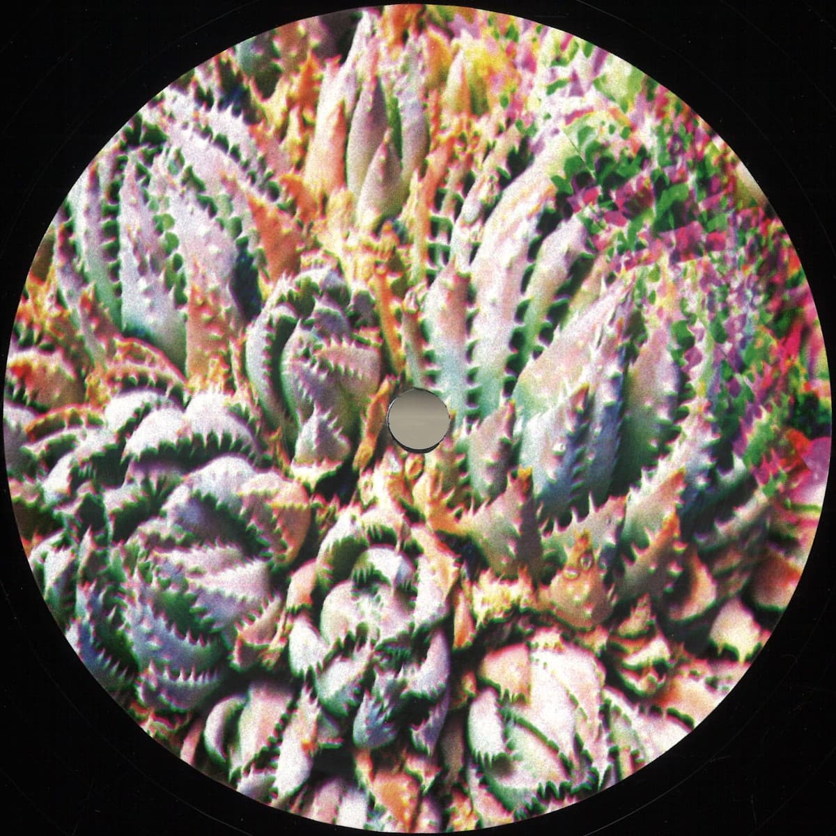 Transpace EP