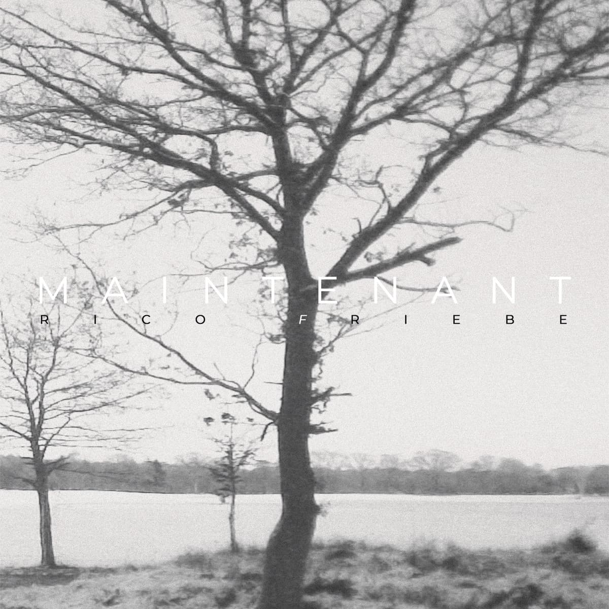 Maintenant (LP)