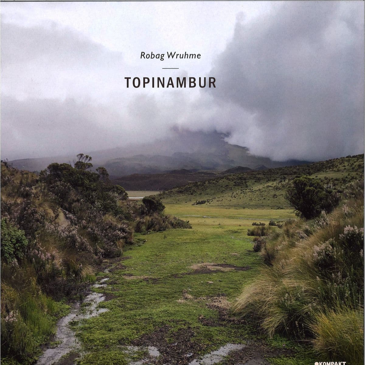 Topinambur EP