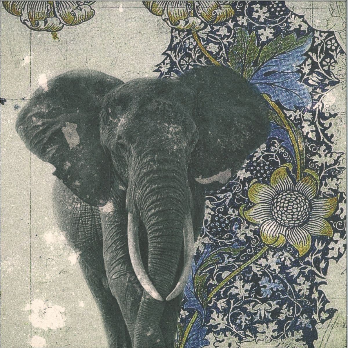Spiritual Safari