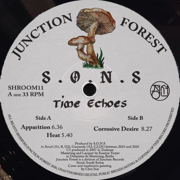 Time Echoes