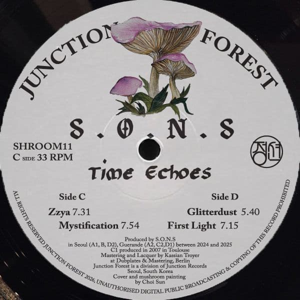 Time Echoes thumbnail 5