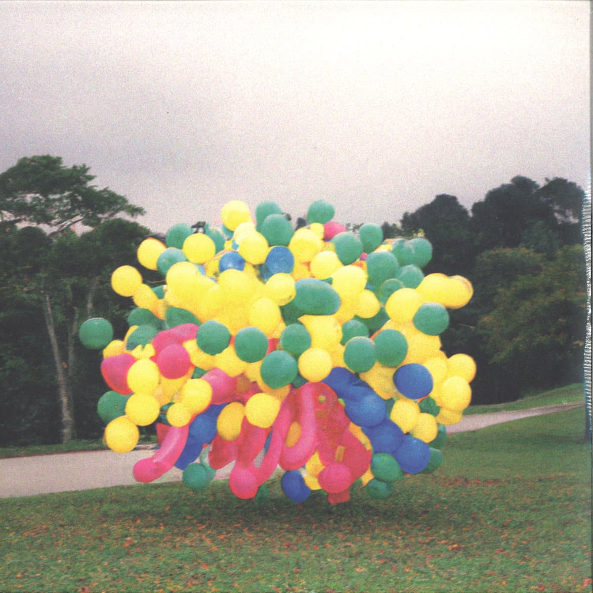 Vista LP 2x12"