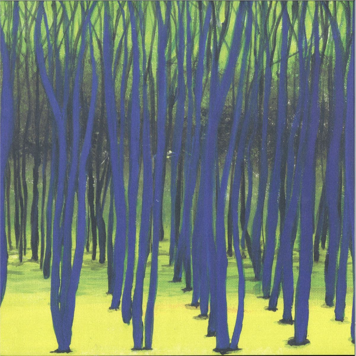 Rooted EP