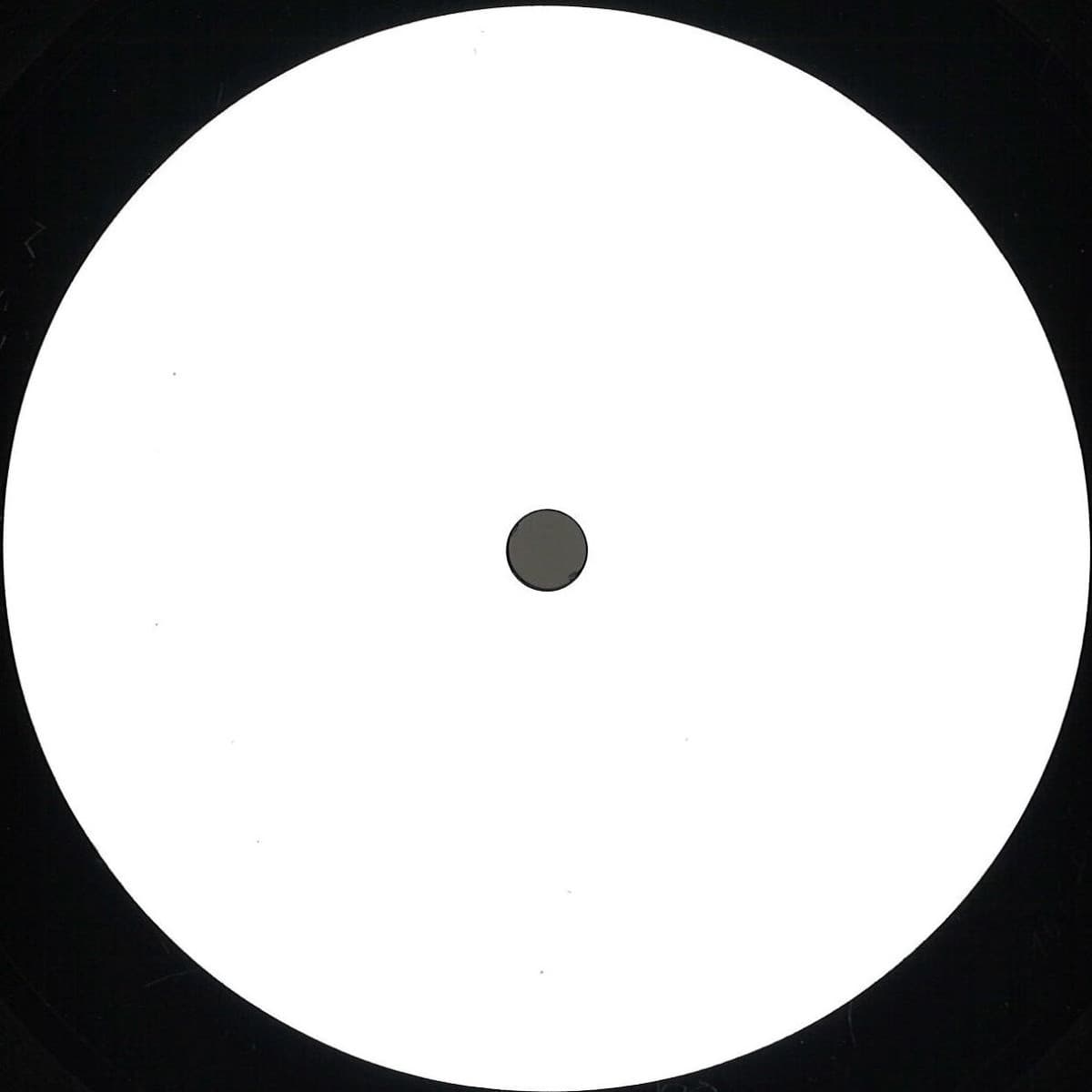 Mofo.02