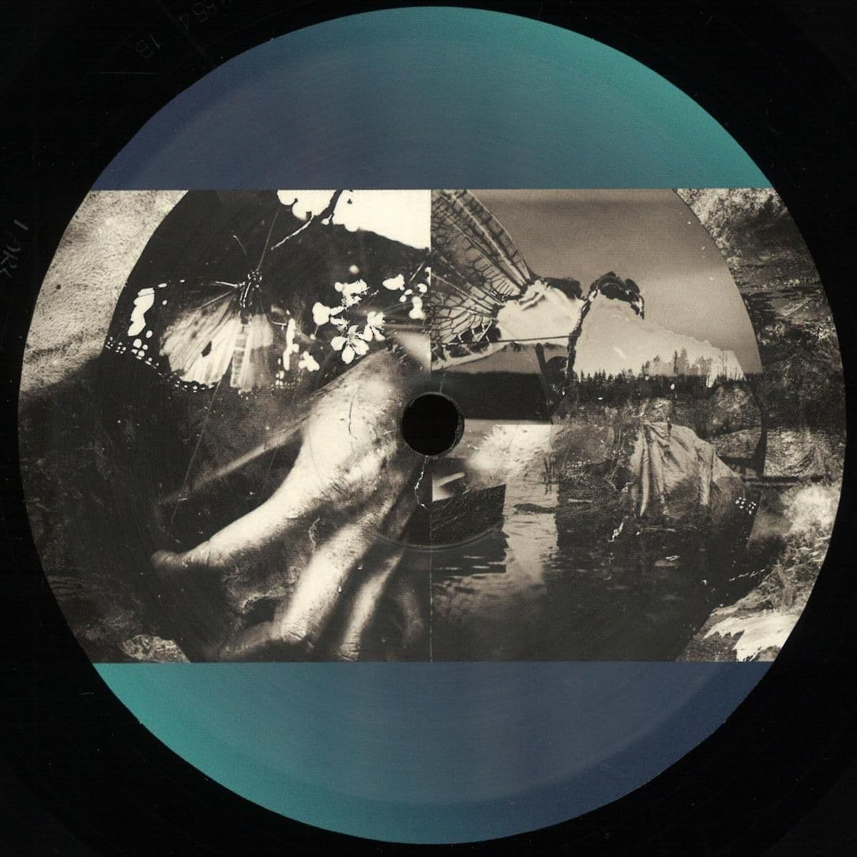 Horizons Sampler: One