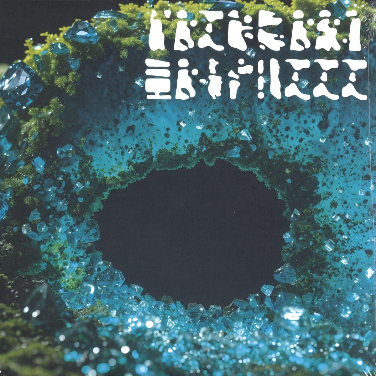 PRIMARY FOREST 03