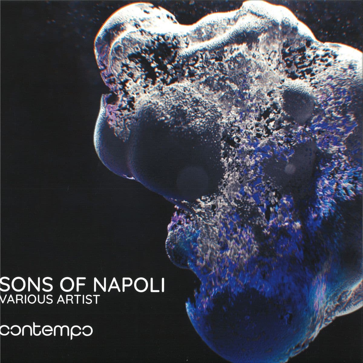Sons Of Napoli