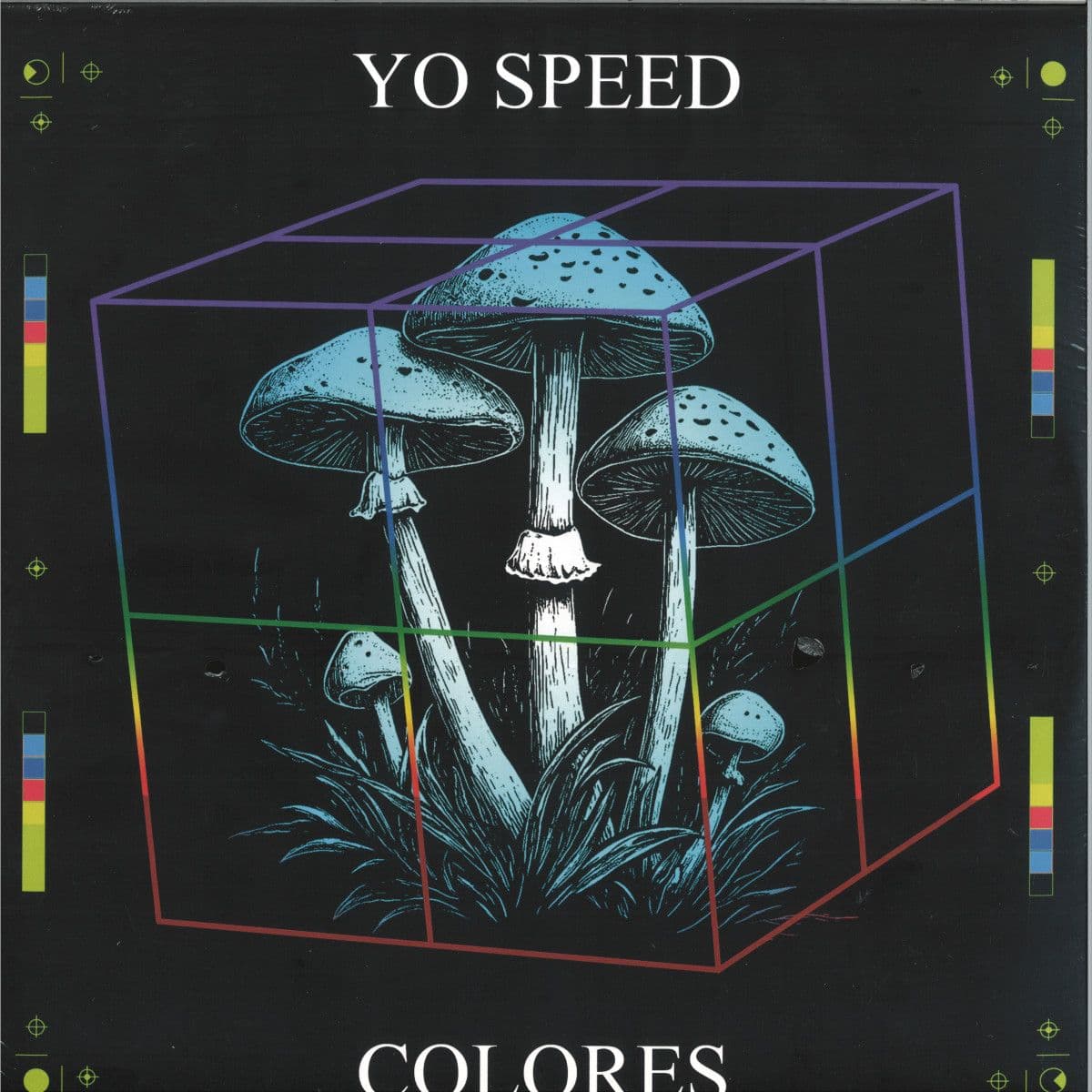 Colores LP 2x12"