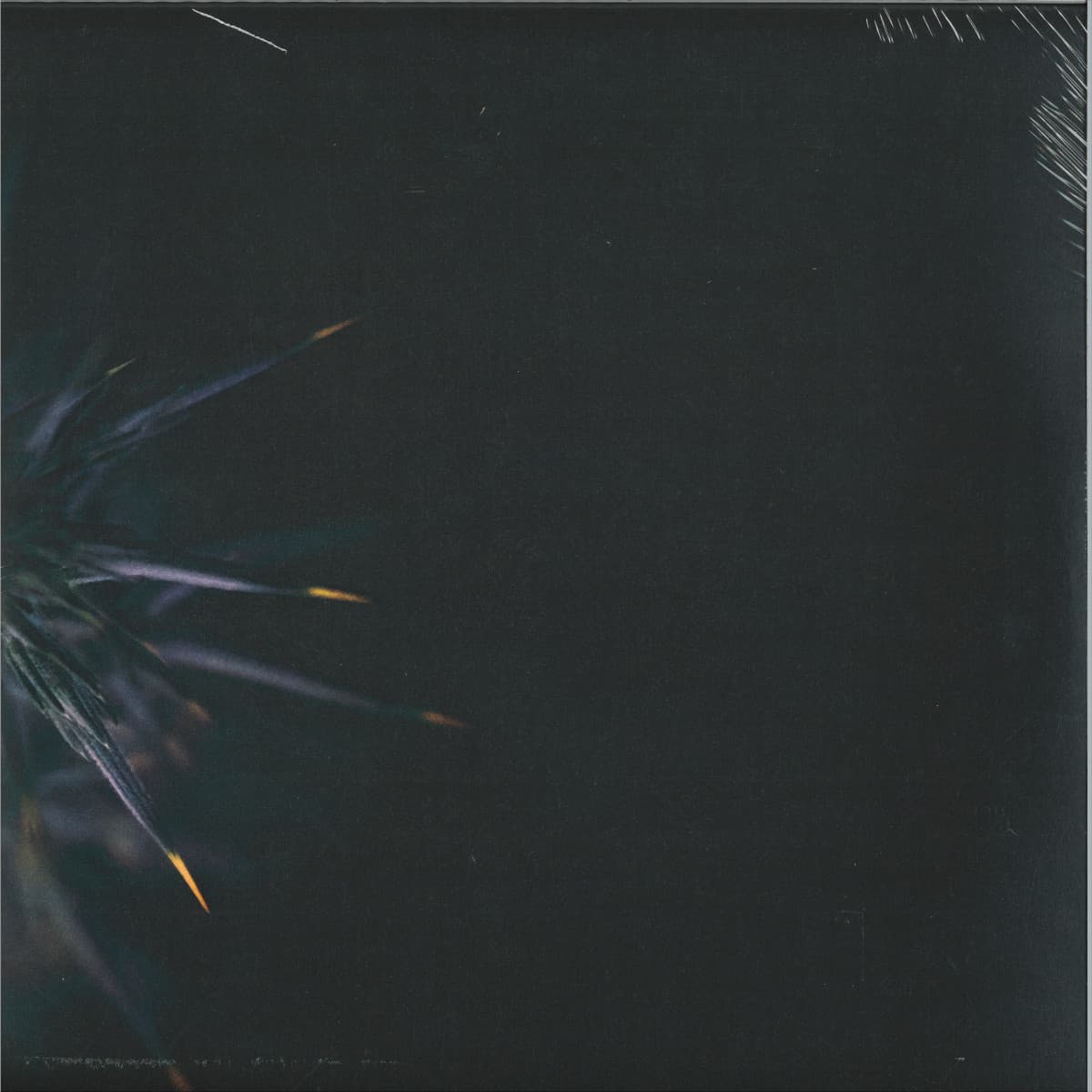 IN VEIL EP