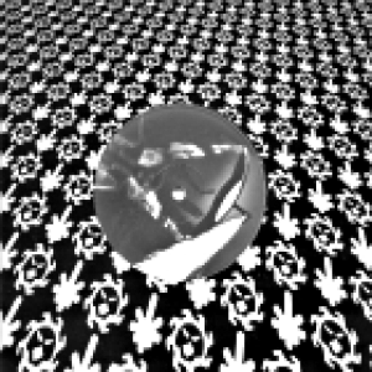 Worldwar / Roterwax