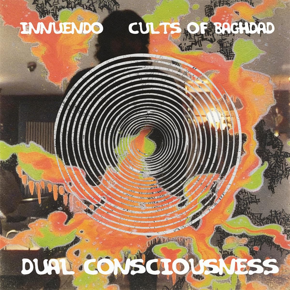 Dual Consciousness