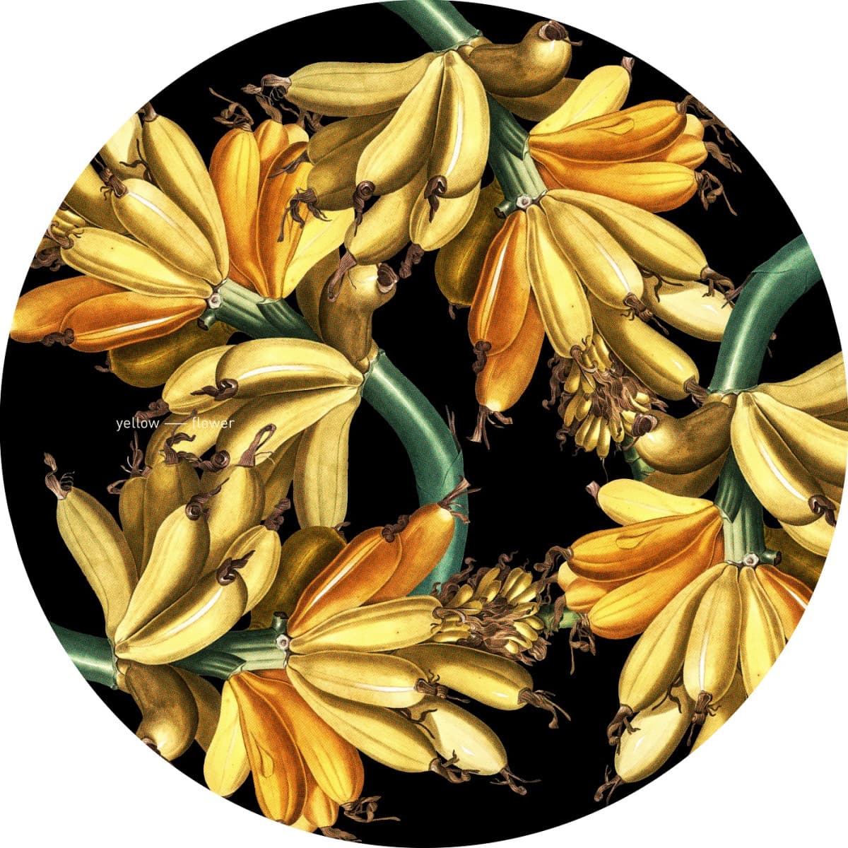 Slipmat 023